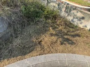 81717feb02b8167afd1886a6b0e262bb