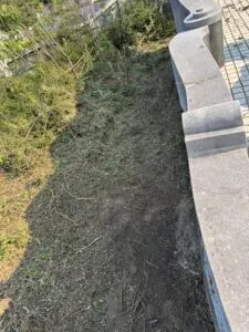 F33a40012eee8b7da511956faeddf3fb